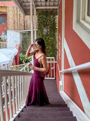Wine Party Dress