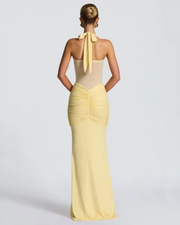 Elegant Backless Bodycon Dress