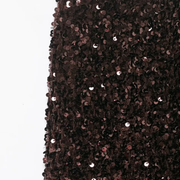 Brown Sequined Long Skirt