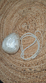 Pearl Oblique Bag/clutch
