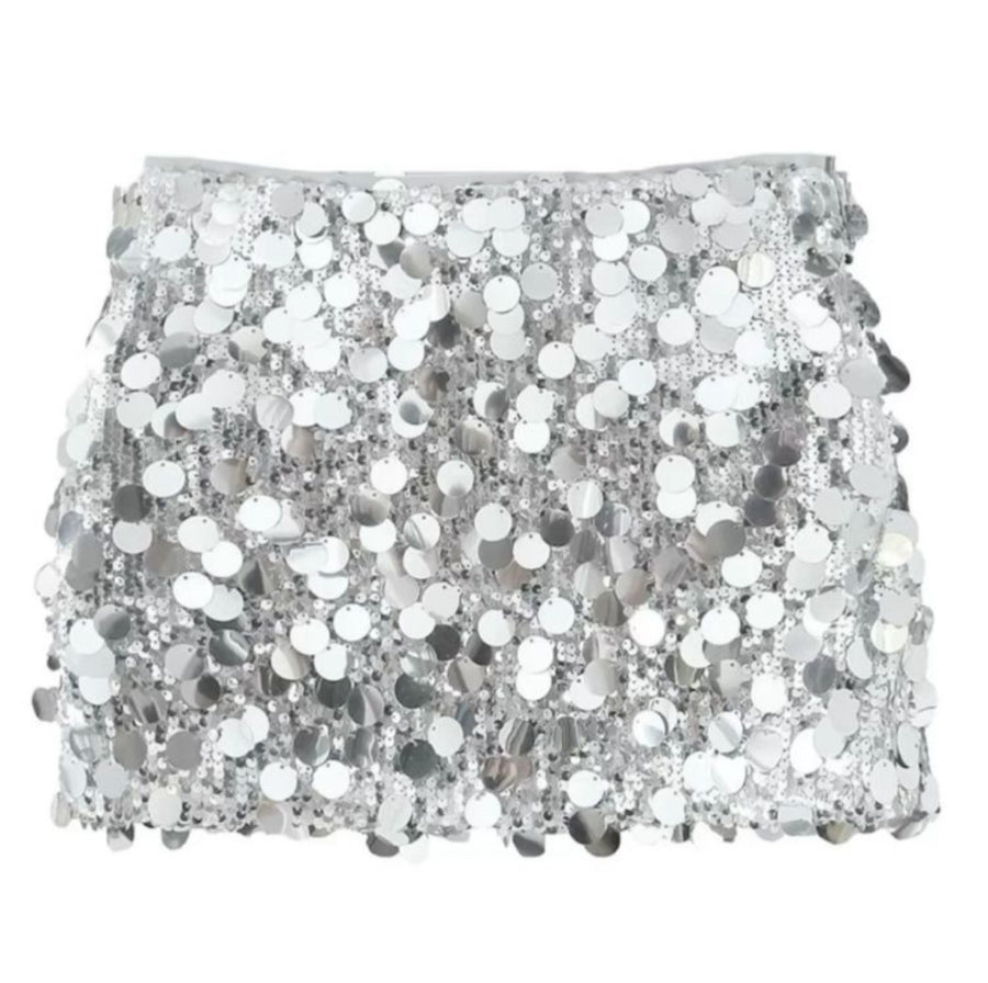 Silver Sequin Skirt