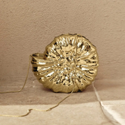 Snail Shell Clutch