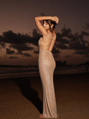 Embellished Rhinestone Dress