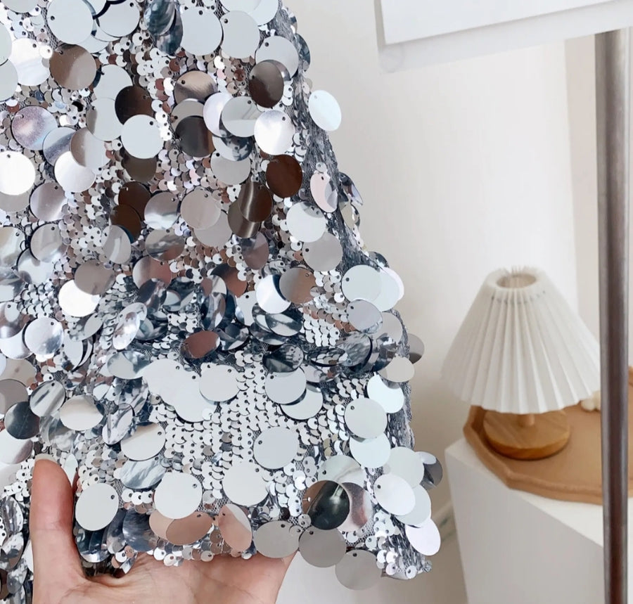 Silver Sequin Skirt