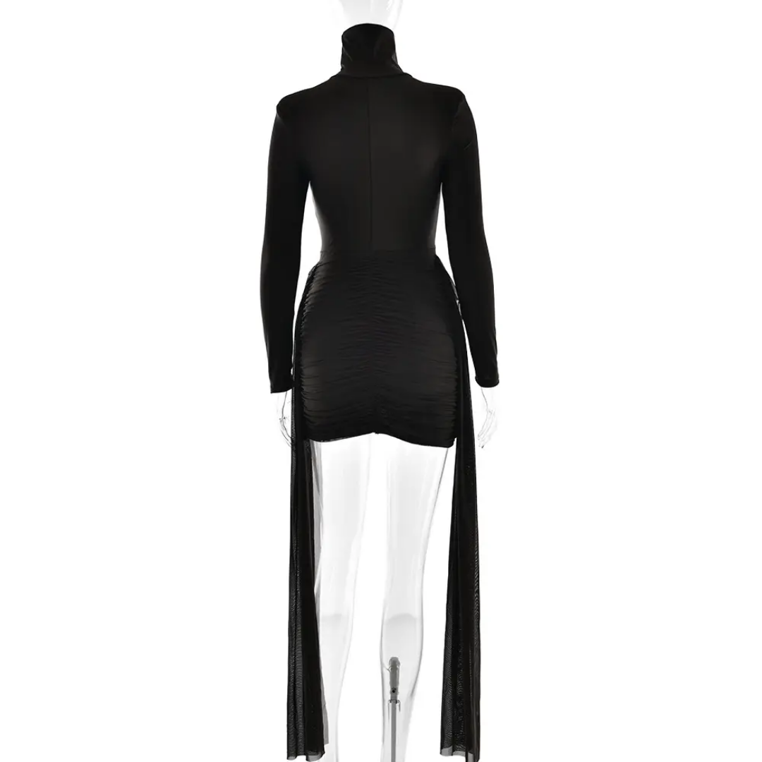 Long Sleeve Mini Dress