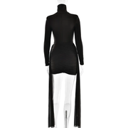 Long Sleeve Mini Dress